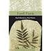 Fossil Plants (Smithsonian's Living Past)