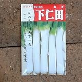 在来固定種　伝統野菜の種「下仁田ねぎ」5ml約850粒　畑懐〔はふう〕