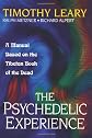 Psychedelic Experience