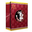 Florida State Seminoles NCAA Medium Gift Bag (9.75 Tall) by Pro Specialties Group