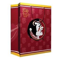 Florida State Seminoles NCAA Medium Gift Bag (9.75 Tall) by Pro Specialties Group
