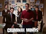 Criminal Minds: The Fisher King, Pt. 1