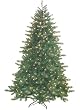 6.5' Just Cut Douglas Fir Pre-Lit Artificial Christmas Tree - Clear Lights