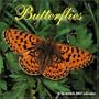 Butterflies 2007 Wall Calendar