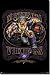 Minnesota Vikings NFL Rb Logo Poster Print 22.5 X 34