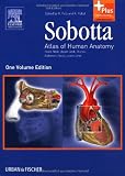  Sobotta -...
