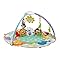 Fisher-Price All Around Musical Playtime Gym- Precious Planet