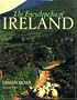 The Encyclopedia of Ireland: An A-Z Guide to it's People, Places, History, and Culture