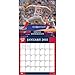 Turner Perfect Timing 2015 Washington Nationals Team Wall Calendar, 12 x 12 Inches (8011655)