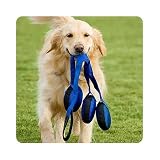 Doggles DOTYTPLG-04 Tri Pull Blue Large