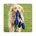 Doggles DOTYTPLG-04 Tri Pull Blue Large