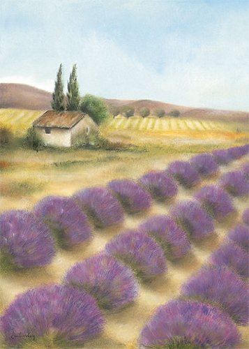 Eurographics CW1032 Caroline Wenig, Soleil De Provence 50 x 70 cm, Hochwertiger Kunstdruck Preisvergleich