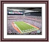 Framed 16 X 20 Reliant Stadium Houston Texans Photo