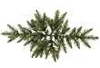 32" Camdon Fir Artificial Christmas Swag - Unlit