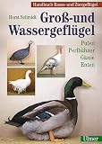 Handbuch Rasse- und Ziergefl�gel: Gro�- und Wassergefl�gel: Puten, Perlh�hner, G�nse, Enten: BD 1