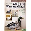 Handbuch Rasse- und Ziergefl�gel: Gro�- und Wassergefl�gel: Puten, Perlh�hner, G�nse, Enten: BD 1