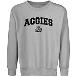 NCAA Utah State Aggies Youth Steel Logo Arch Crew Neck Fleece Sweatshirt