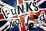 ���֥����PUNKS NOT DEAD��UK�ե�å��ˡ�GBS015�ա٥ݥ�����