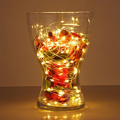 Homestarry 3 Sets 30 Warm White Color Micro LED String Lights on 10 Feet Extra Thin Copper Wire DIY Wedding Centerpiece or Table Decorations.