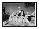 Historic Print (L): Prof. Chas. Gilmore of Smithsonian Institution with dinosaur Diplodochus, 9/25/24