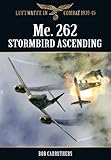 Me. 262 Stormbird ascending