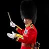 Image de Coldstream Guards