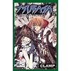 Tsubasa 17: Reservoir Chronicle