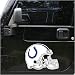 Die Indianapolis Colts Car Magnet