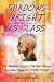 Shadows Bright as Glass: The Remarkable Story of One Man's Journey from Brain Trauma to Artistic Triumph