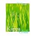 The Kappa Child (Fiction)