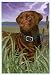 Chocolate Lab Garden Flag