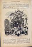 Egyptian Mosques Courtyard Antique Fine Art Print 1852