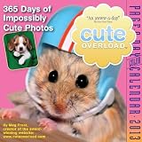 Cute Overload 2012 Page-a-Day Calendar