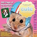 Cute Overload 2012 Page-A-Day Calendar
