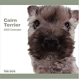 Cairn Terrier Dog 2009 Wall 12''x12'' Calendar by THE DOG Artlist Collection