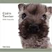   - Cairn Terrier Dog 2009 Wall 12''x12'' Calendar by THE DOG Artlist Collection