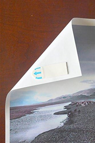 EZonEZoff Poster Strips 80 strip value pack