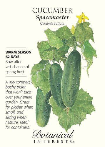 Spacemaster Cucumber Seeds - 2 Grams Spacemaster Cucumber Seeds - 2 Grams