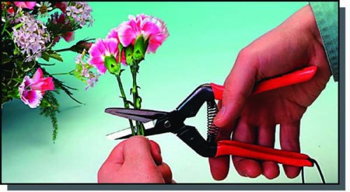 E-6C CHIKAMASA 本职园芸用 农作业铗 E-6C