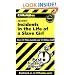 Incidents in the Life of a Slave Girl (Cliffs Notes)