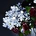 Isightguard Solar Powered String Lights Snowflakes Shape 5M/16.4FT 30 LEDs Waterproof Fairy Lights for Outdoor,Gardens,Christmas,Wedding,Holiday and Party Decorations (White)