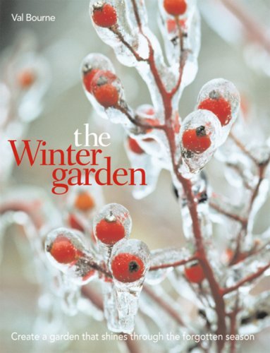 The Winter Garden: Create a Garden that Shines Through the Forgotten Season