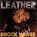 Shock Waves