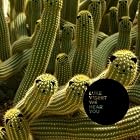 We Hear You [Vinyl] by Luke Vibert (Vinyl - 2009)