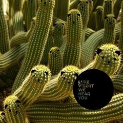 We Hear You   Luke Vibert