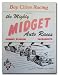 1948 Hughes Stadium Poster Print