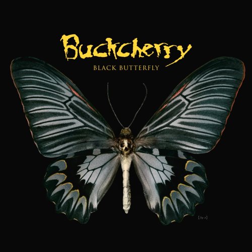 CD-Charts  Music : Black Butterfly