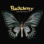 Black Butterfly
