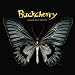 Music : Black Butterfly