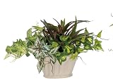 光触媒グリーン 人工観葉植物 アレカヤシ ミックスポット 寄せ植え